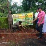 वृक्ष लागवड मोहीम